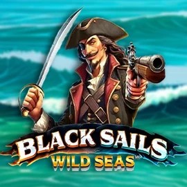 Try Black Sails Wild Seas slot by Infinity Dragon Studios on wynscasino.eu – logo image