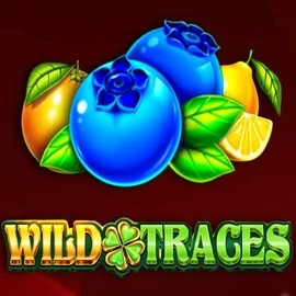 Enjoy Wild Traces by Amusnet Interactive – logo hosted on wynscasino.eu